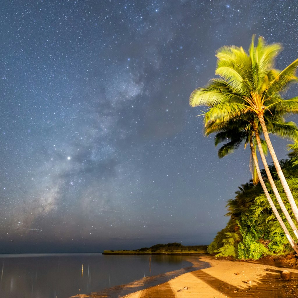 In a time-lapse shot, a beach with palm trees is seen at twilight, while a distinctive pattern of stars in the sky reveals the Milky Way galaxy.
