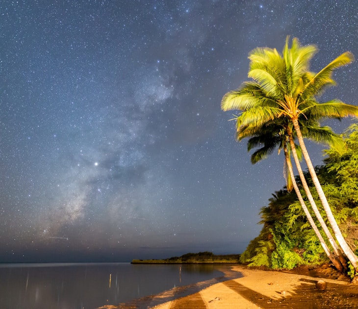 In a time-lapse shot, a beach with palm trees is seen at twilight, while a distinctive pattern of stars in the sky reveals the Milky Way galaxy.