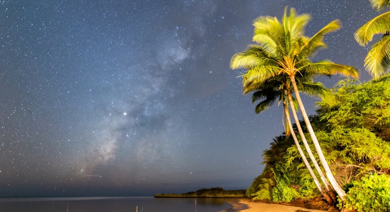 In a time-lapse shot, a beach with palm trees is seen at twilight, while a distinctive pattern of stars in the sky reveals the Milky Way galaxy.