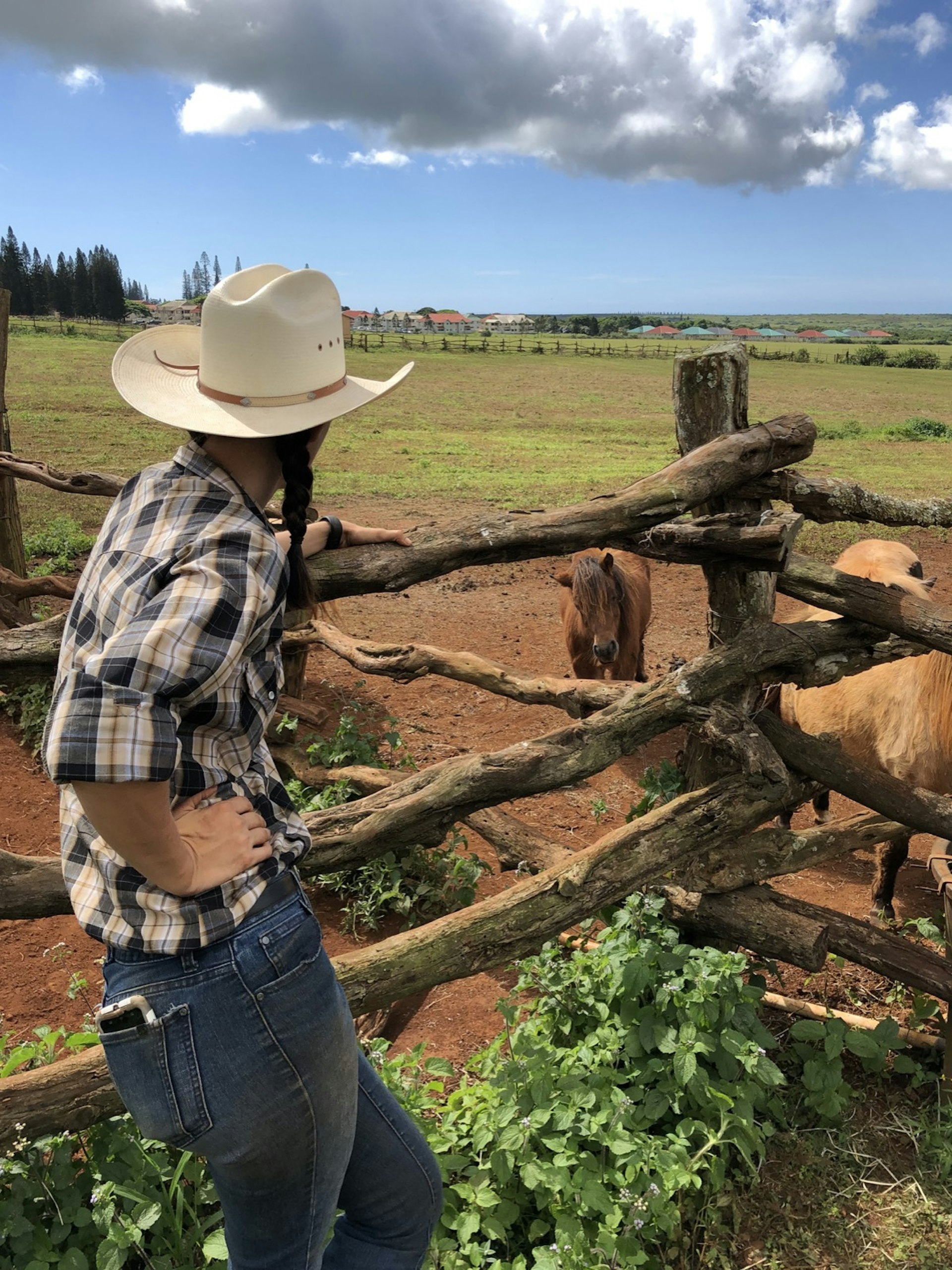 A woman with braided hair, a cowboy hat, jeans and a plaid shirt leans against a wooden fence and looks out at a flat expanse of land