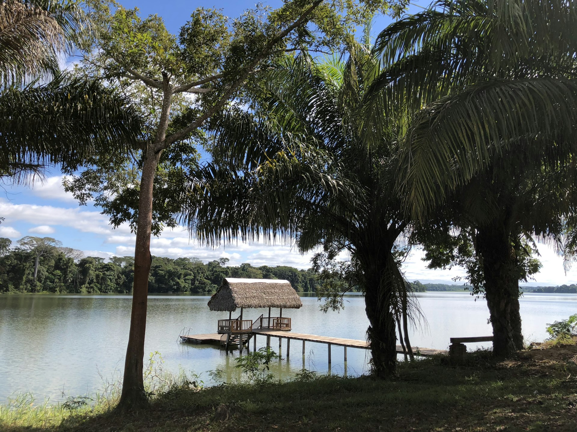 An image of a small river dock jutting out from a palm-tree lined shore near Trinidad, Bolivia