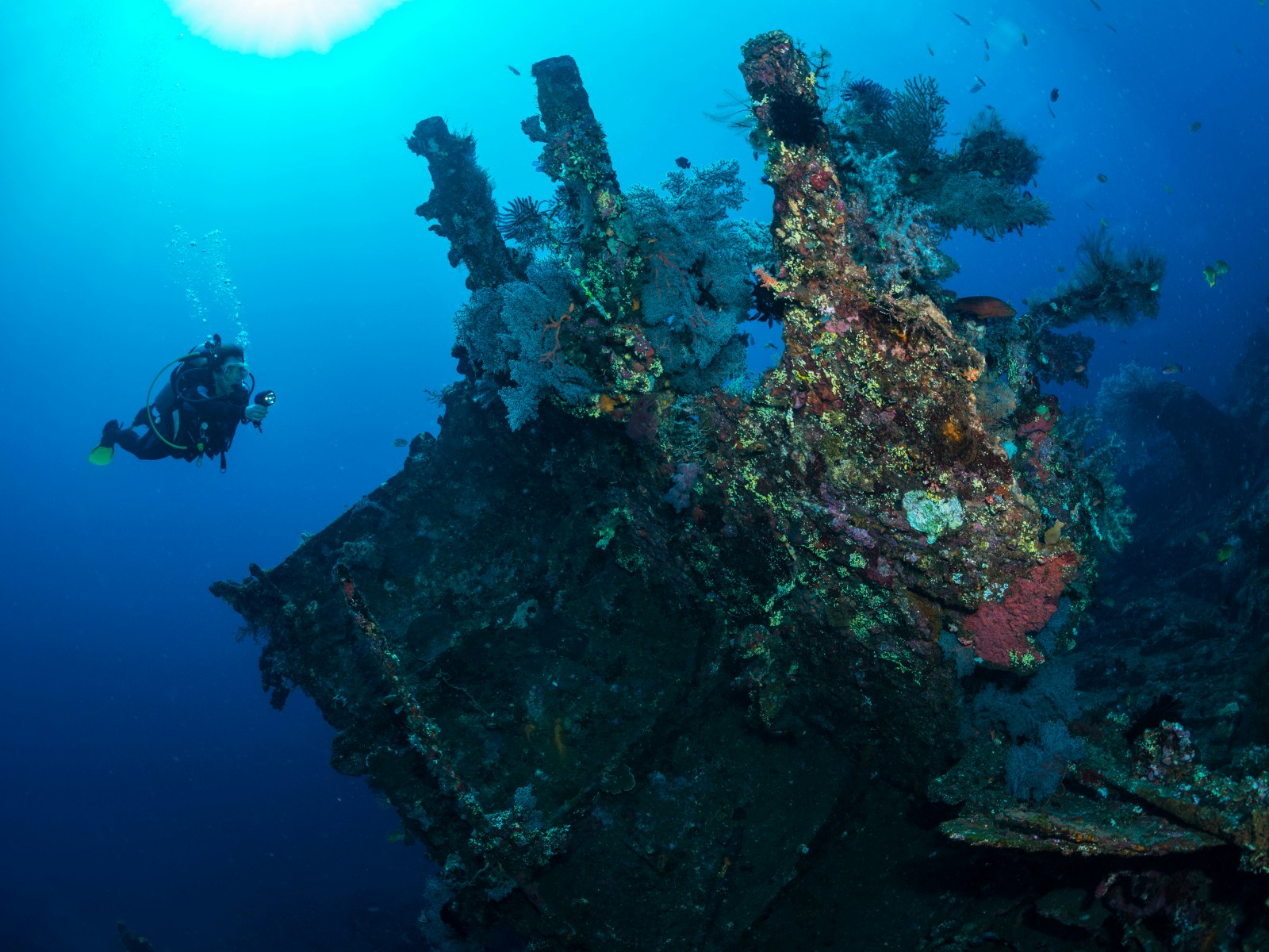 Diving the Liberty shipwreck in Tulamben, Bali