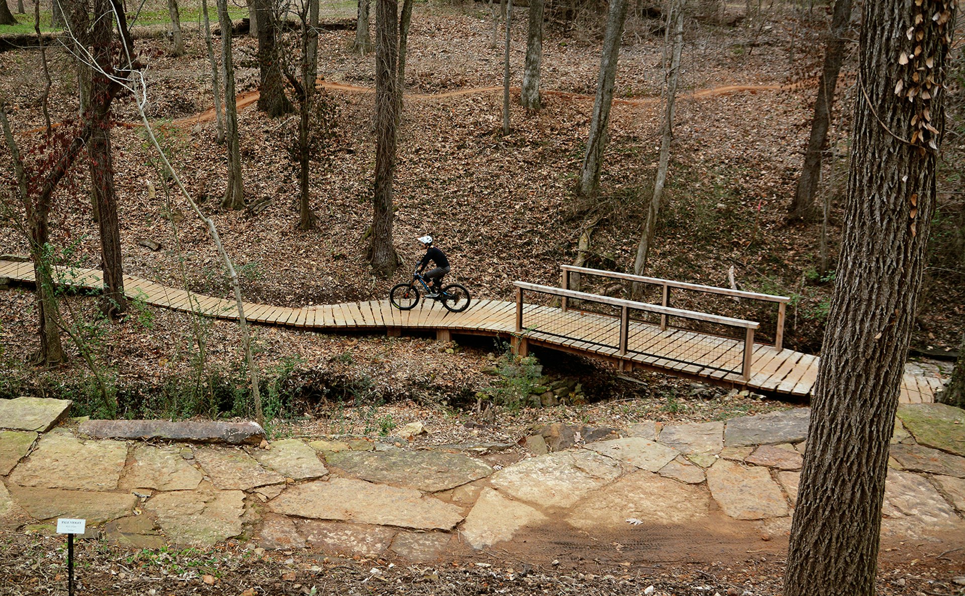 A mountain bike rider in a white helmet pedals over a wooden plank bridge through a wooded forest in Arkansas