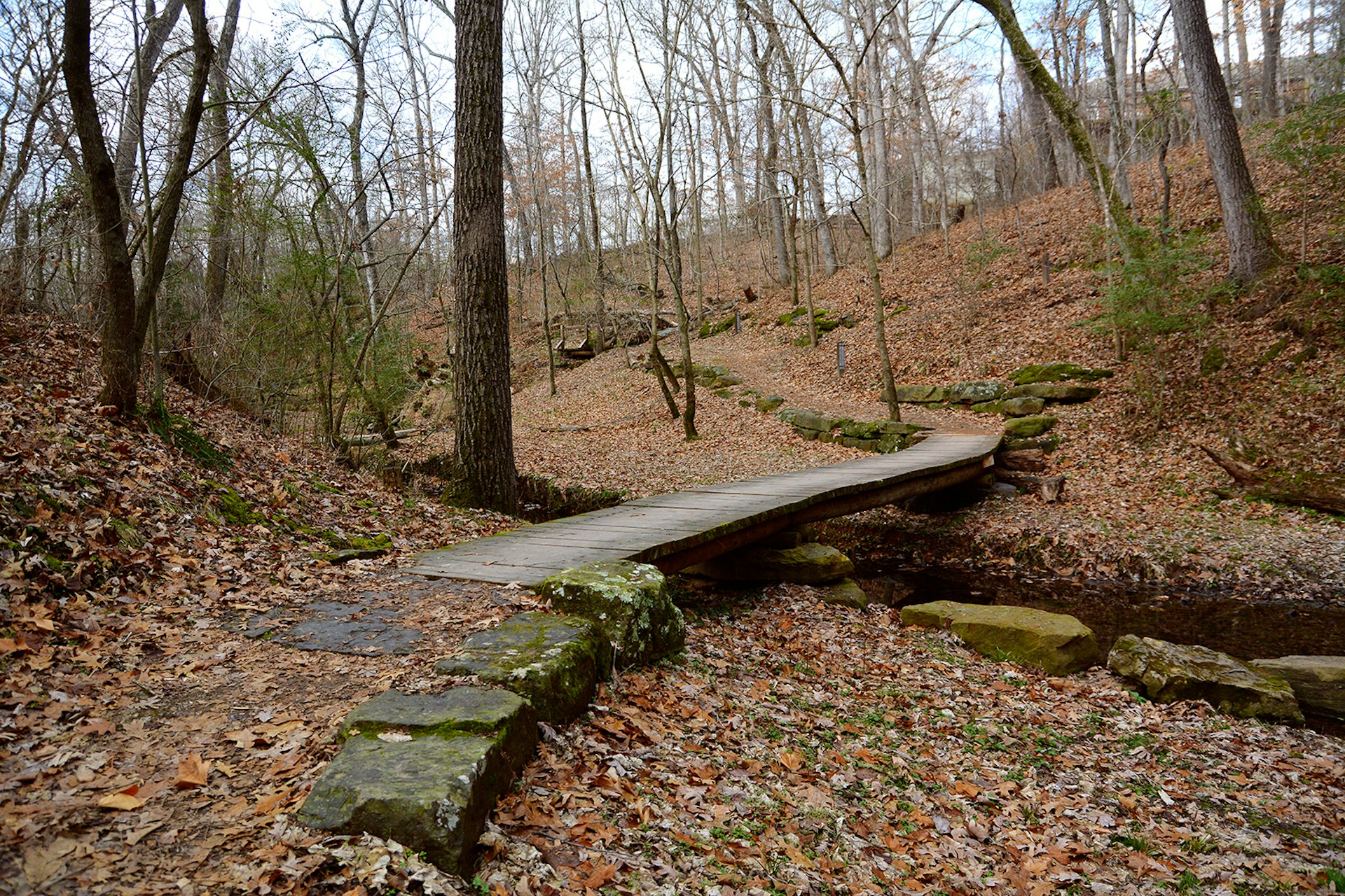 A wooden bridge winds over a creek to create a mountain biking path through a leaf-strewn forest in Arkansas