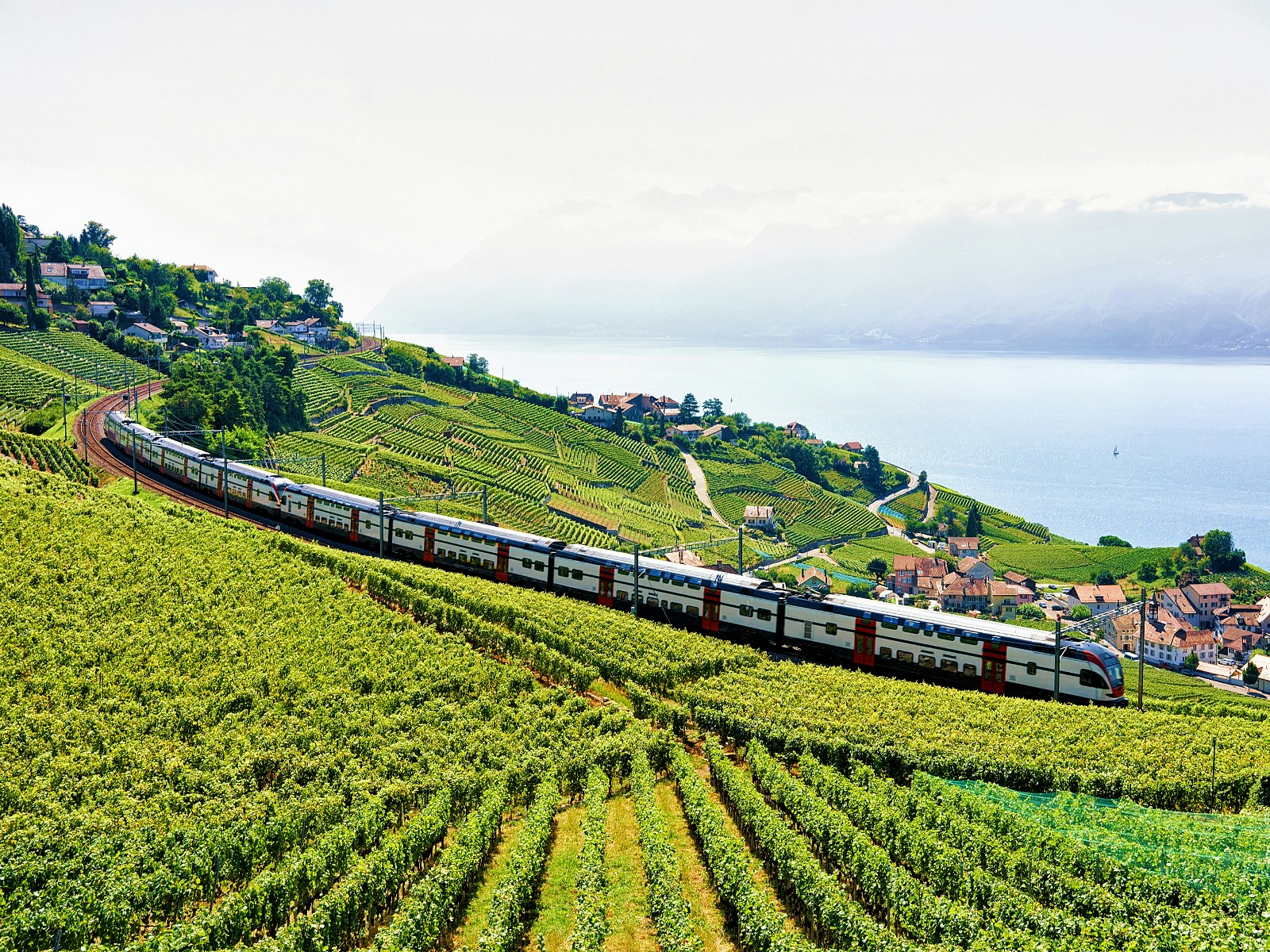 Trains and hiking routes pass through picturesque Lavaux vineyards