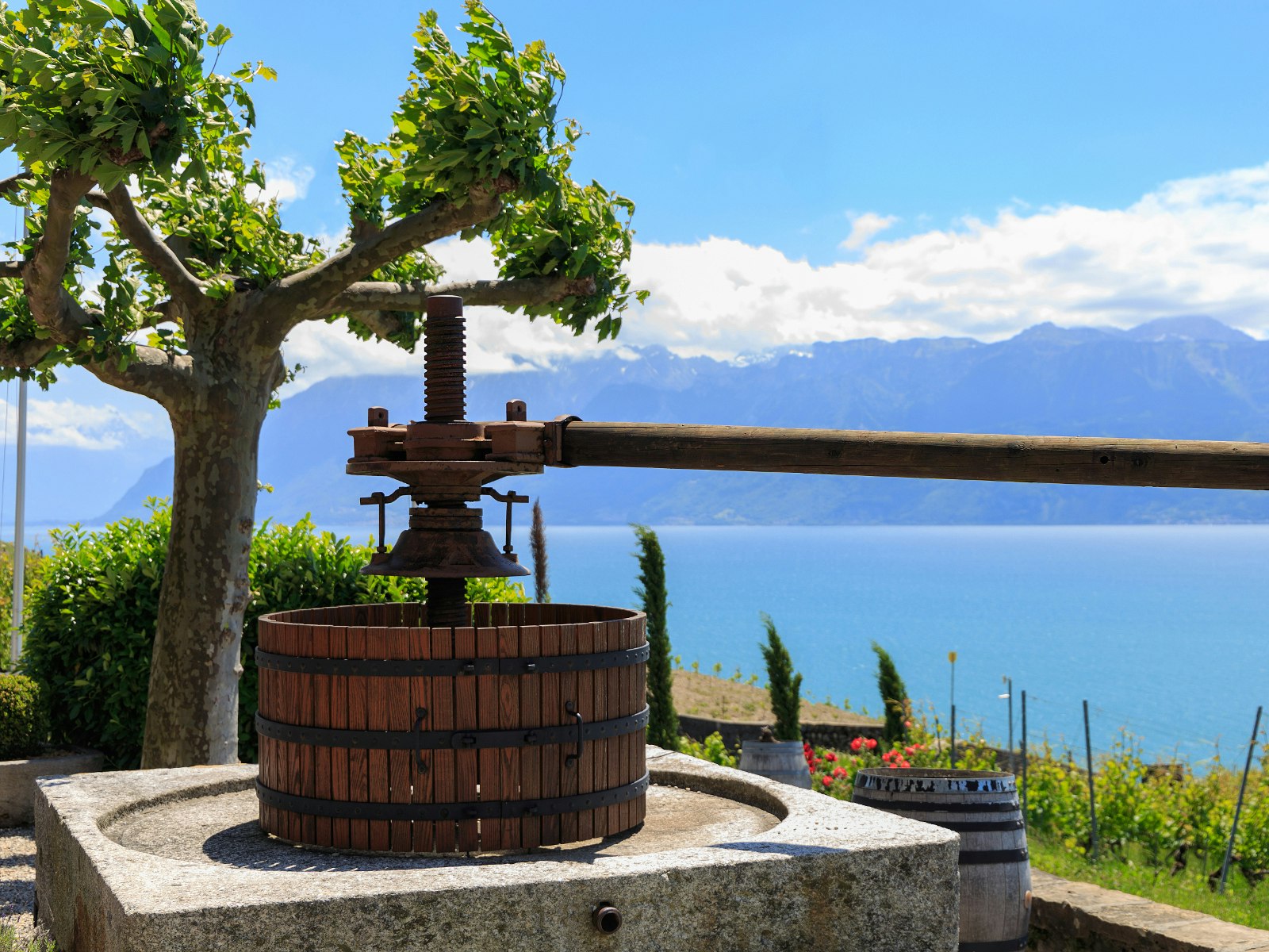 Traditional wine press in a vineyard of the famous Lavaux region
