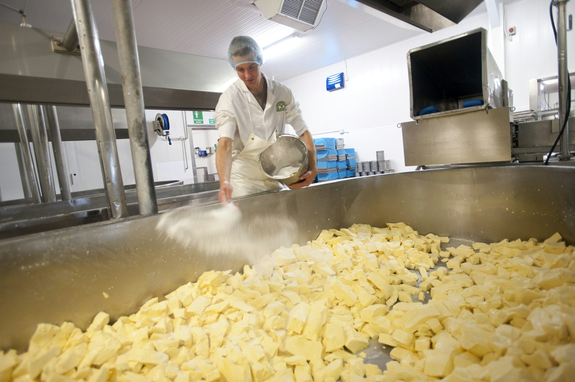 A man sprinkles salt over the cheese curds in the Wensleydale Creamery