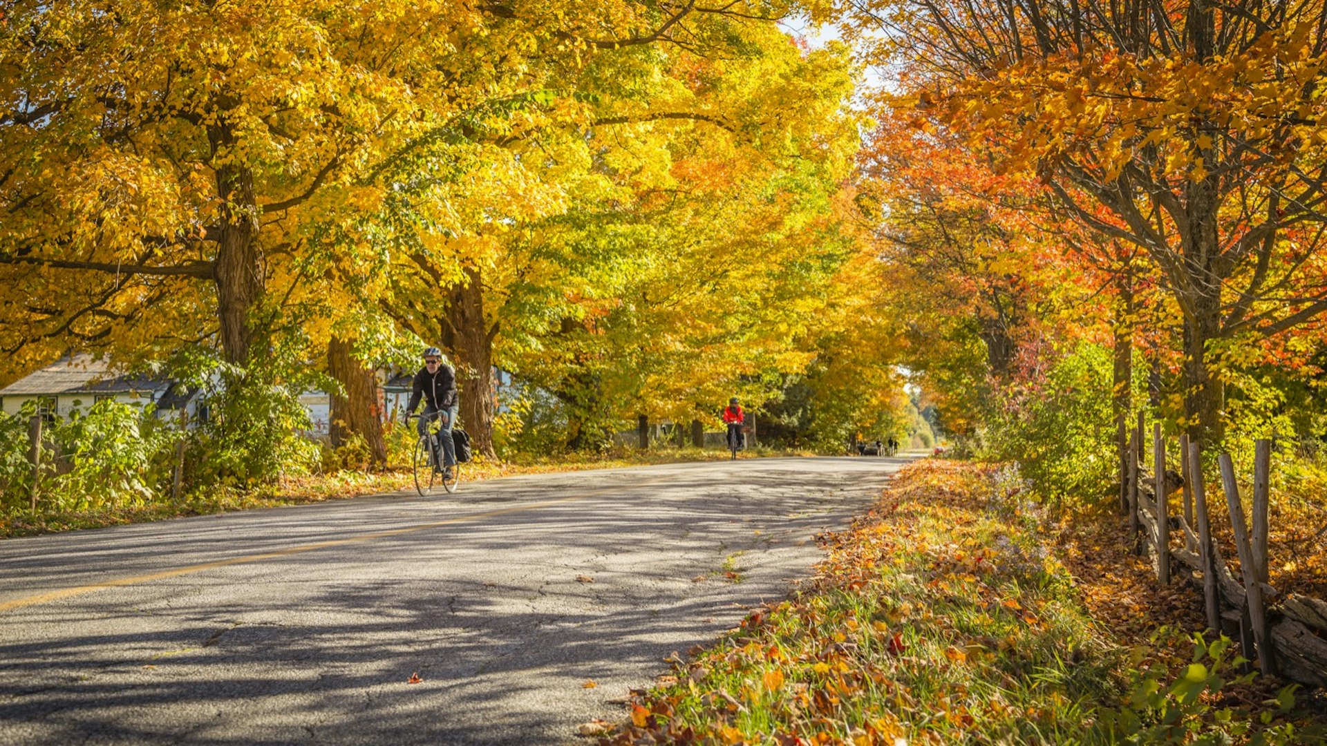 Cyclists in the beautiful autumn scenery