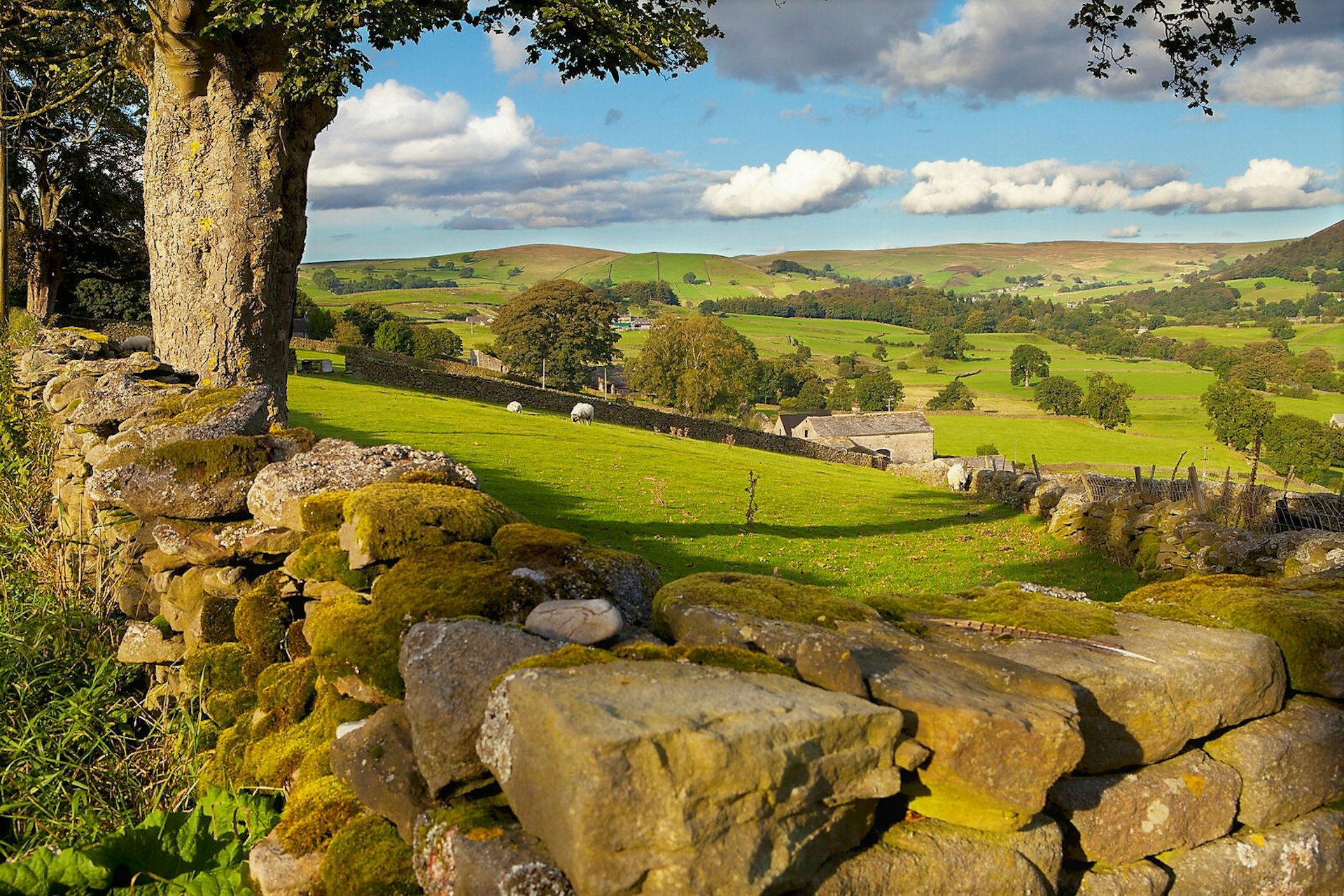 A view over a stone wall of the countryside of the Yorkshire Dales