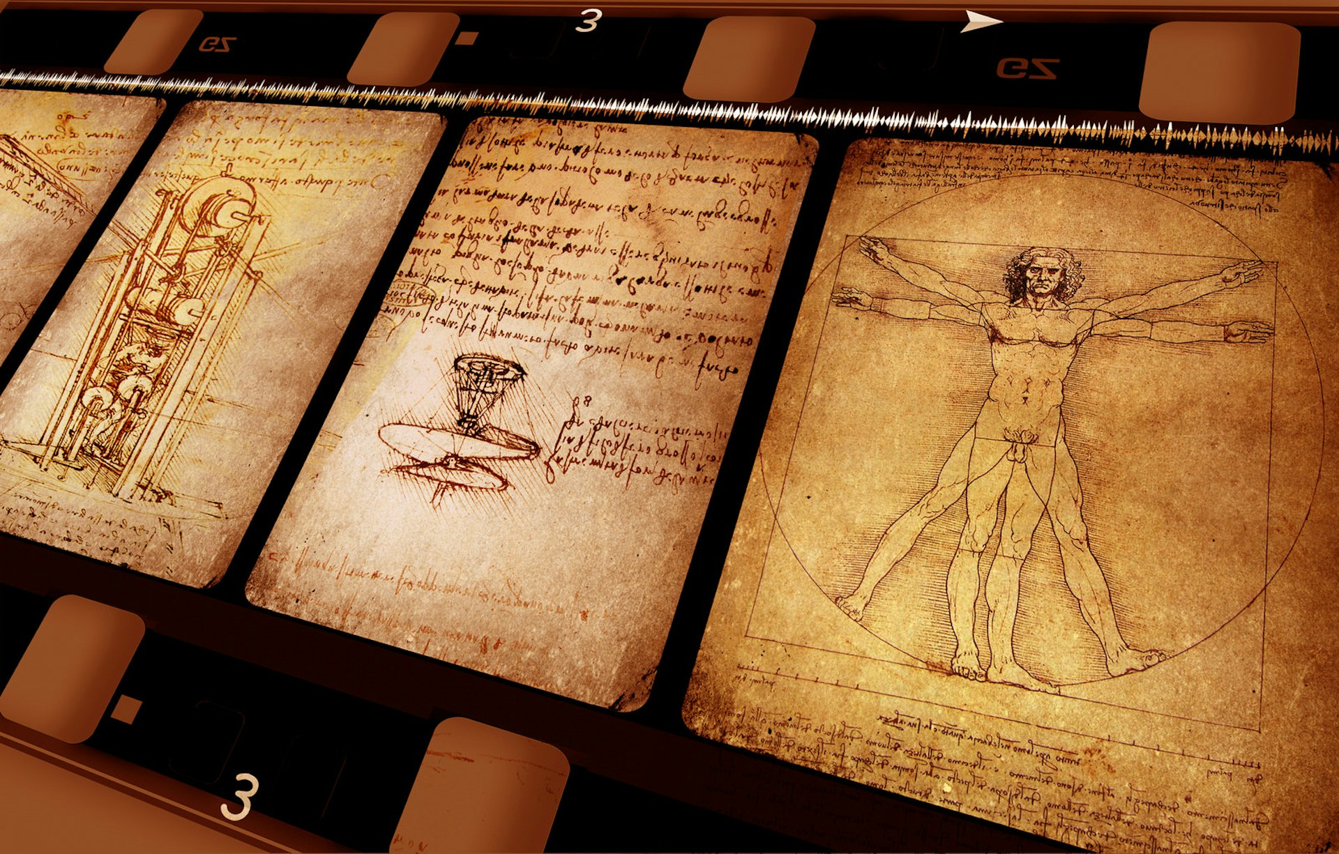Anatomical sketches from Leonardo da Vinci's notebooks