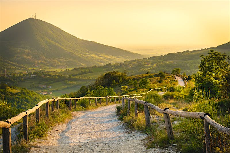 Features - Euganean Hills yellow sunset Pianoro Mottolone trail Padua Italy Veneto A path winds through the green Euganean Hills at sunset