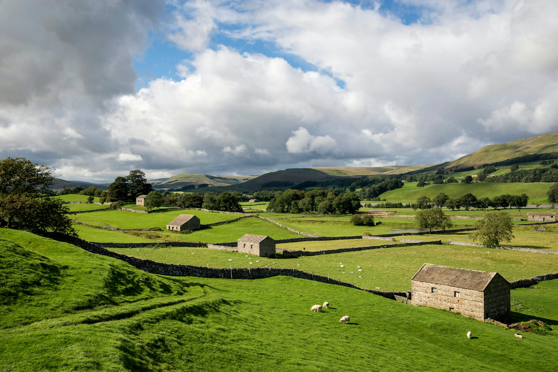 Lush, rolling fields and small stone buildings in Wensleydale