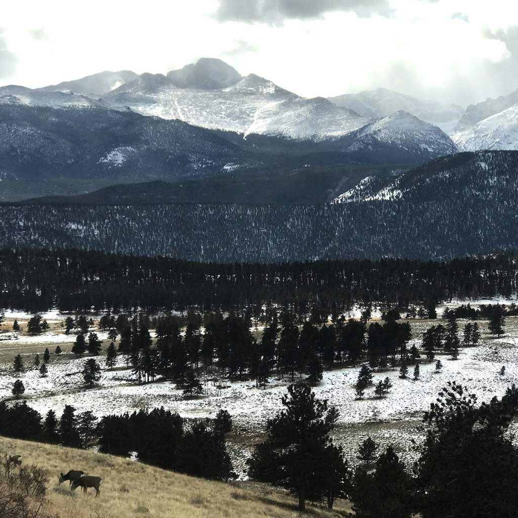 Two deer graze in the foreground as snowy peaks surround a brown valley in Estes Park Colorado