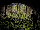 A lush jungle landscape is seen from inside Kazamura Cave as a man's silhouette is in the foreground