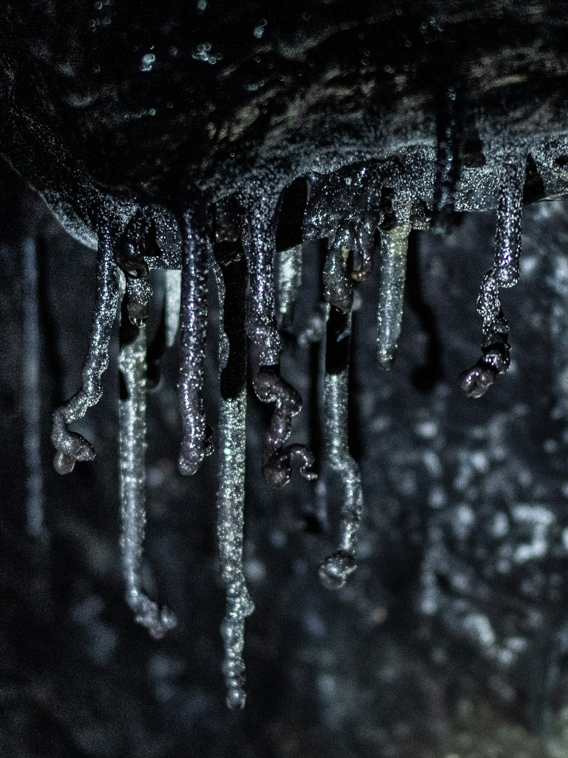 Silvery black stalactites with small curls dribble from the roof of Kazumura Cave on the Big Island of Hawai'i