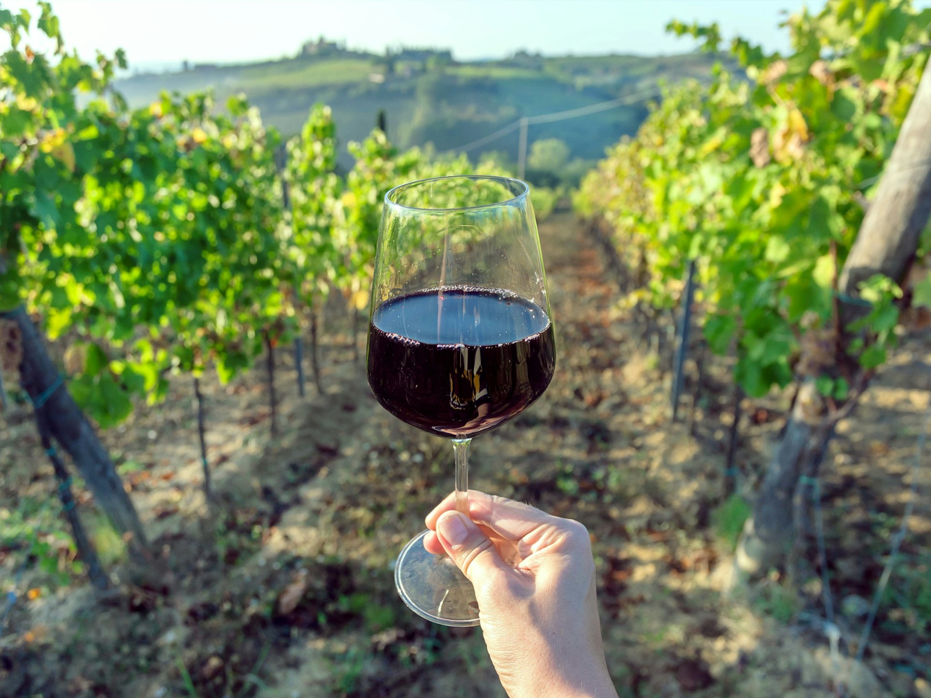 Drinking a glass of Malbec in Mendoza, Argentina