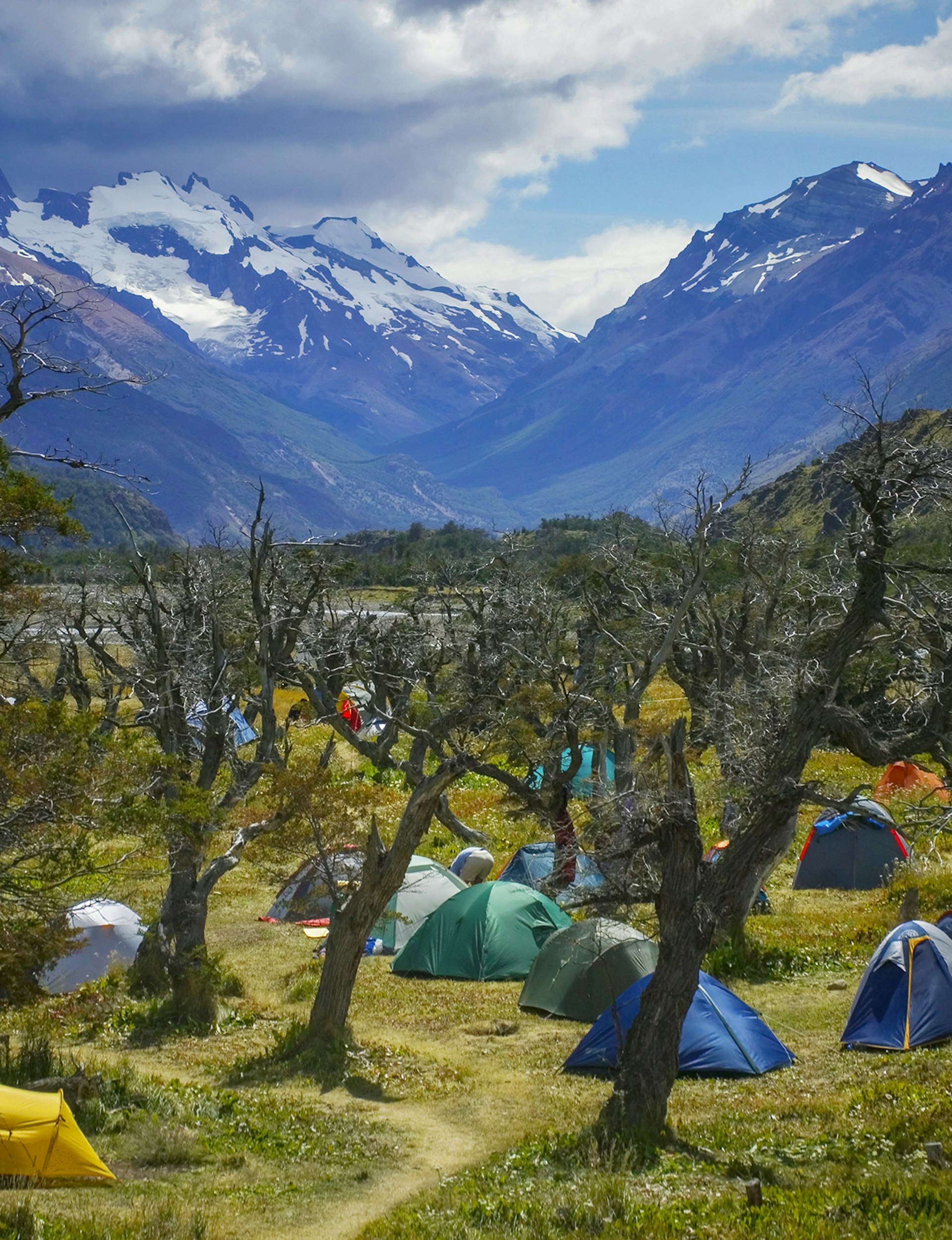 A number of multicolored tents are set up among trees in a green valley in Los Glaciares National Park, with snowcapped mountains in the background