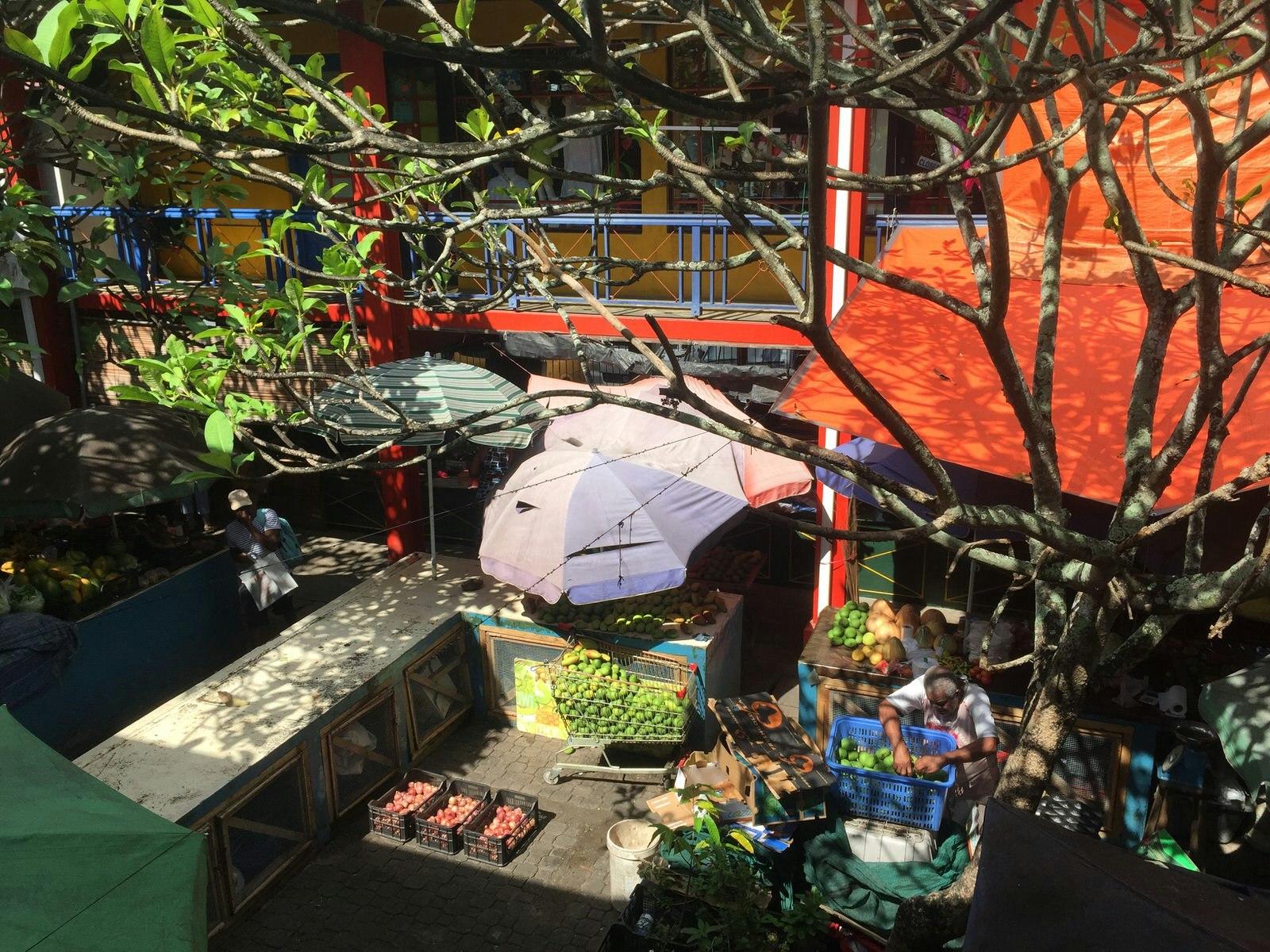 Looking down through branches of some trees growing in the market, some fruit stands sit beneath colourful umbrellas © Matt Phillips / Lonely Planet