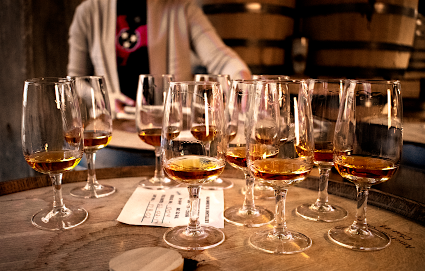 A half dozen sample pours of whiskey sit on a table © Old Dominick Distillery