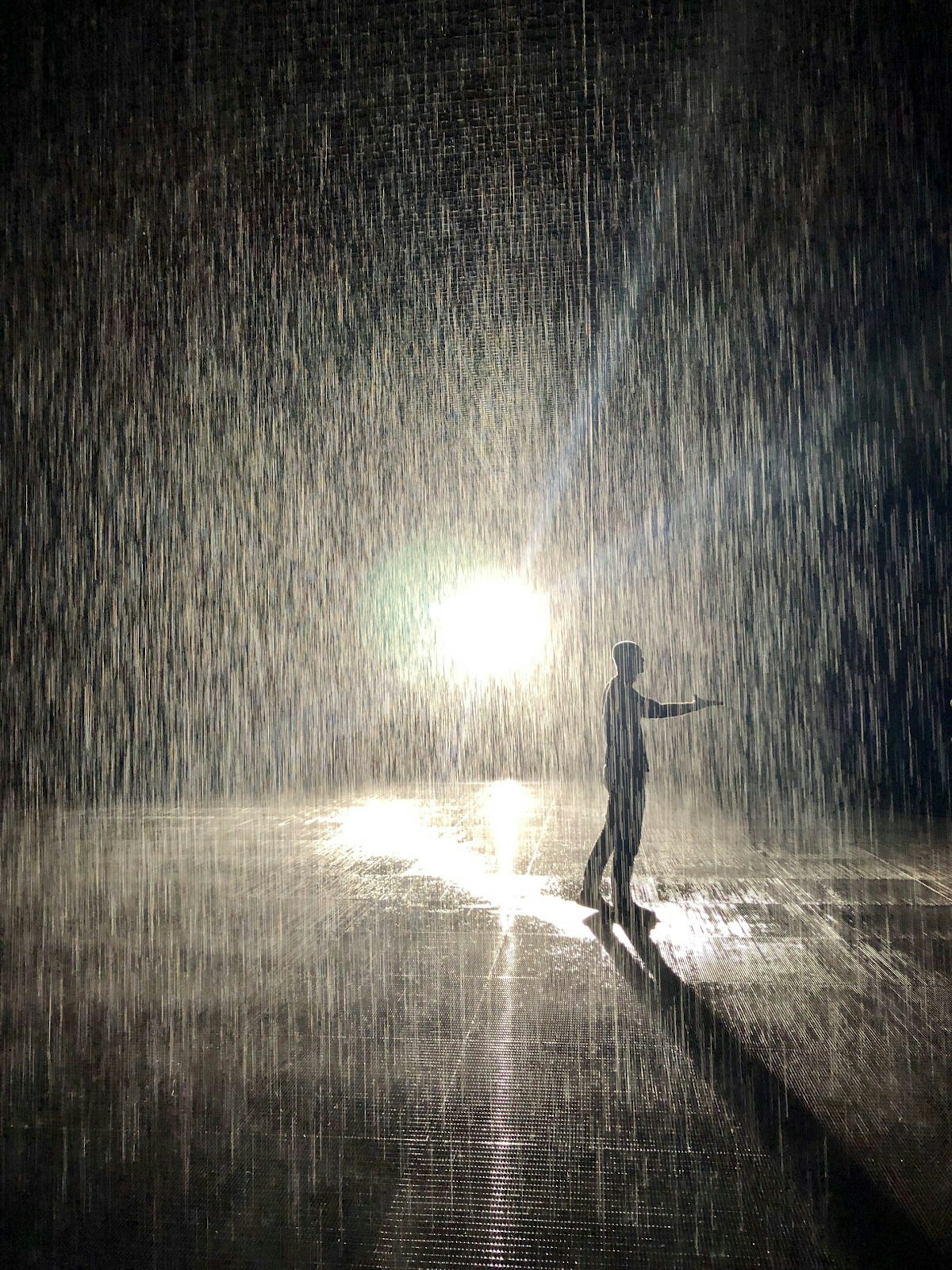 Man walks through the Rain Room art installation in Sharjah, United Arab Emirates