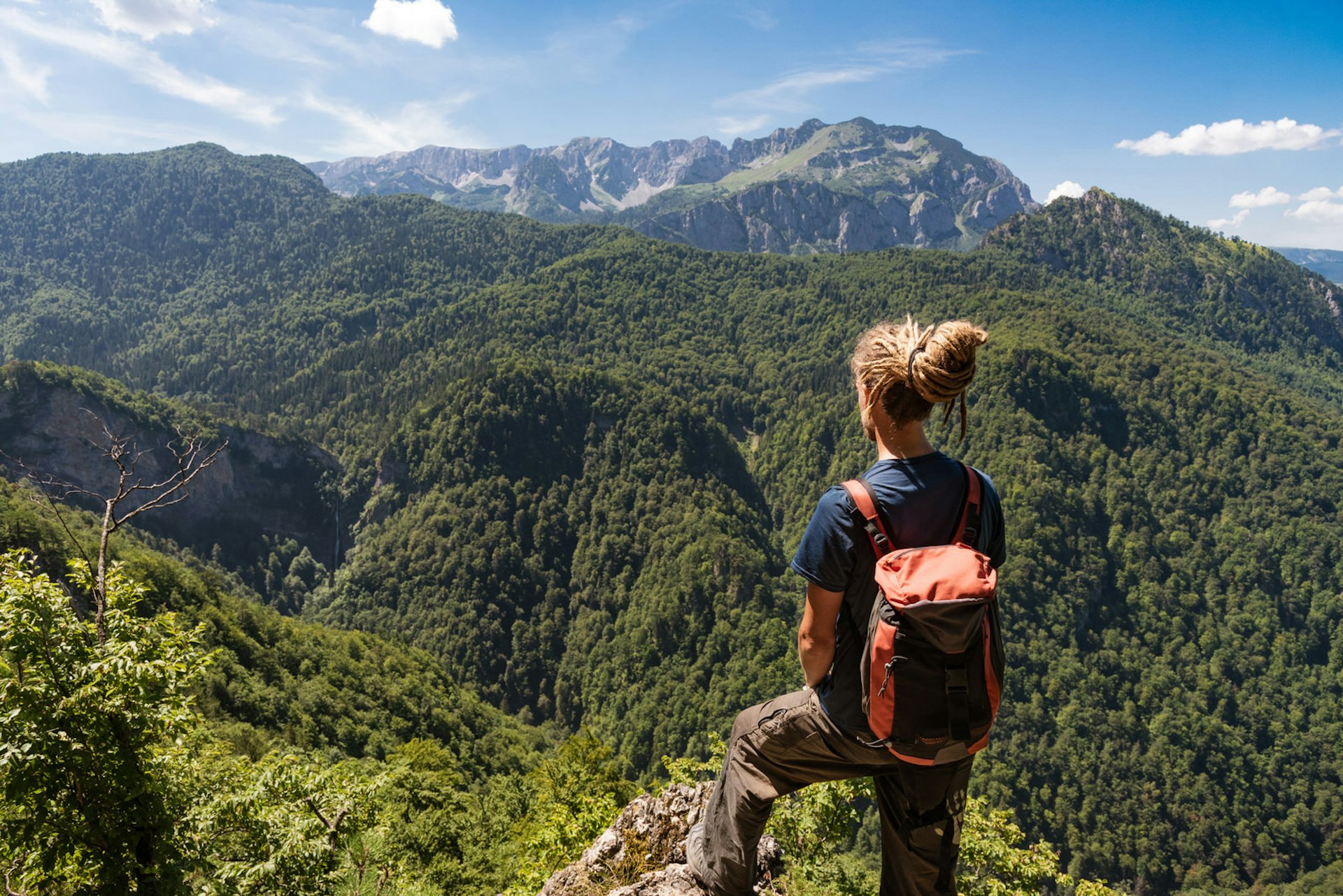 A hiker stands observing a view of a pristine forest, with craggy mountains in the background