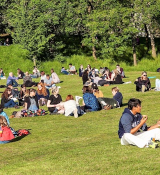 People sitting on the grass in Glasgow's Kelvingrove Park