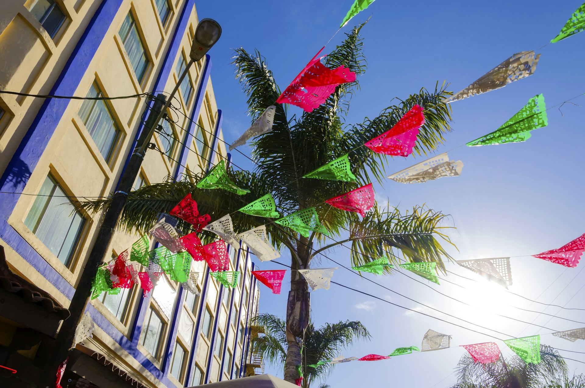 Red, green and white flags fly with a palm tree and building in the background