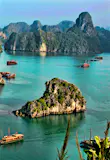 A collection of tour boats and cruise ships passing by limestone islands in Halong Bay
