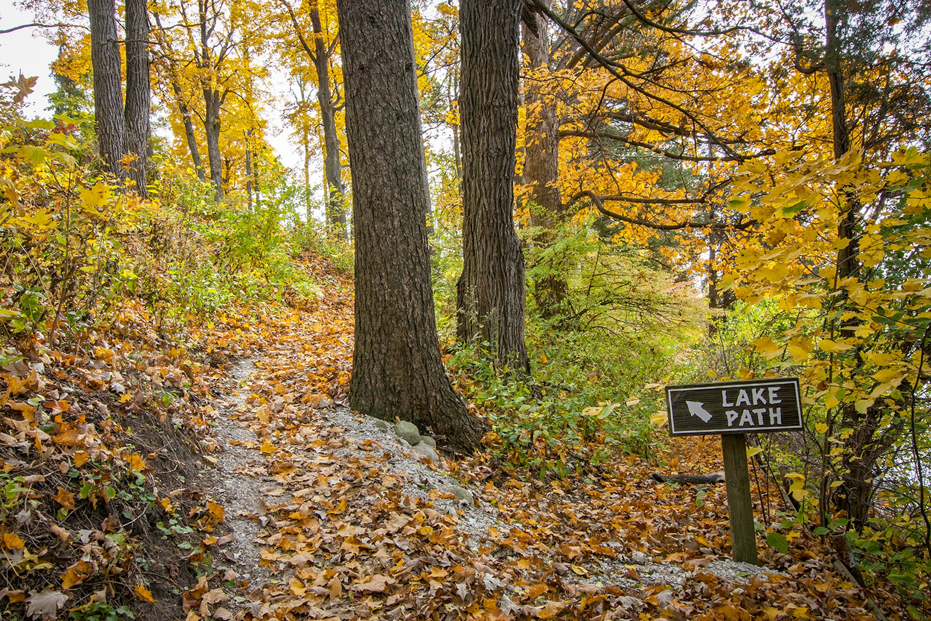 A hiking trail in a forest during autumn, with a sign reading 'Lake Path' on the right in Lake Geneva, Wisconsin