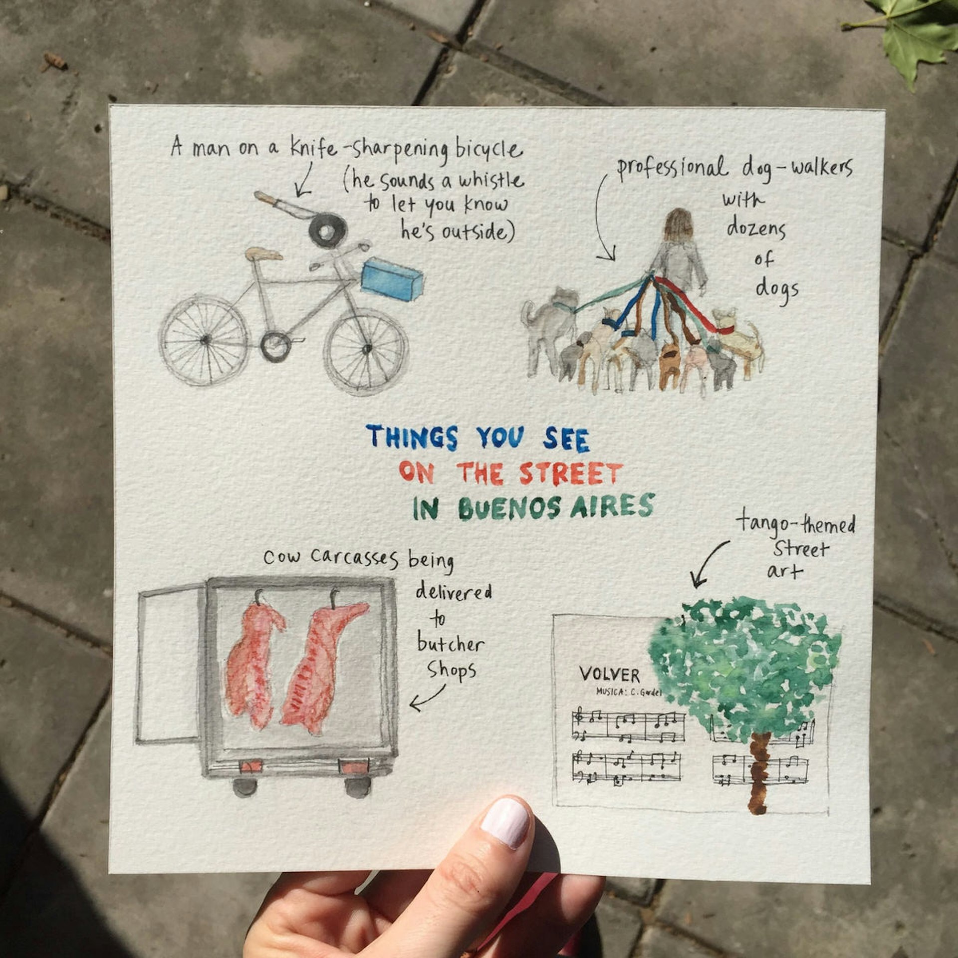 The writer's sketch of things she saw on the street in Buenos Aires, Argentina