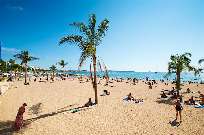 Bright blue sea and skies at a beach at Barcelona, ​​where sunbathers are lying on golden sand studded with palm trees