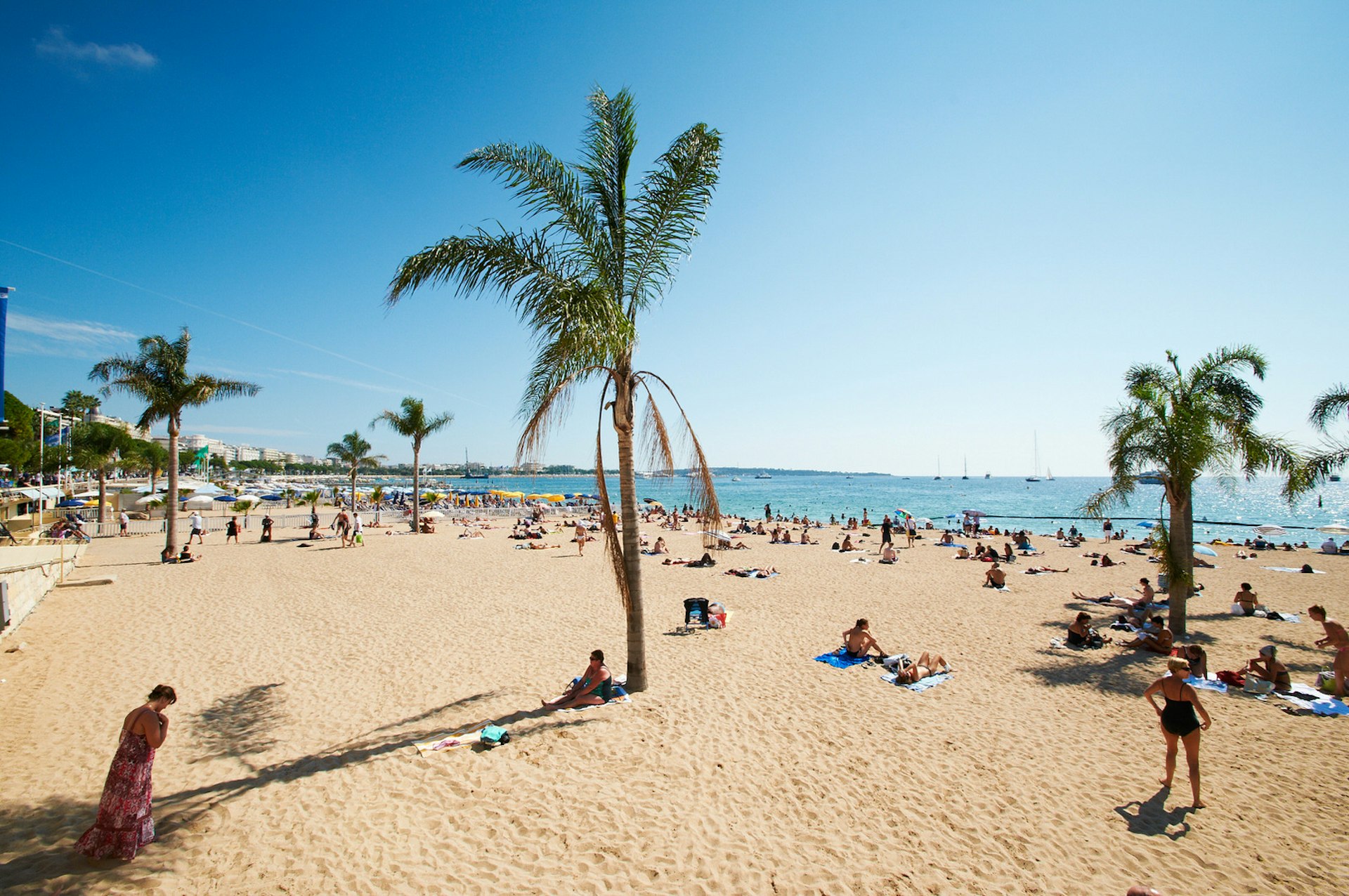 Bright blue sea and skies at a beach at Barcelona, where sunbathers are lying on golden sand studded with palm trees