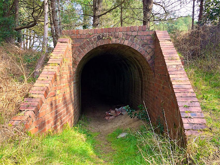 A brick tunnel from a munitions factory sits in woodland in Pembrey Country Park