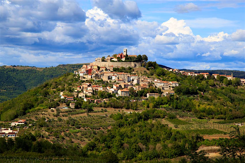 Houses and fortress walls of Motovun perched on a green hill