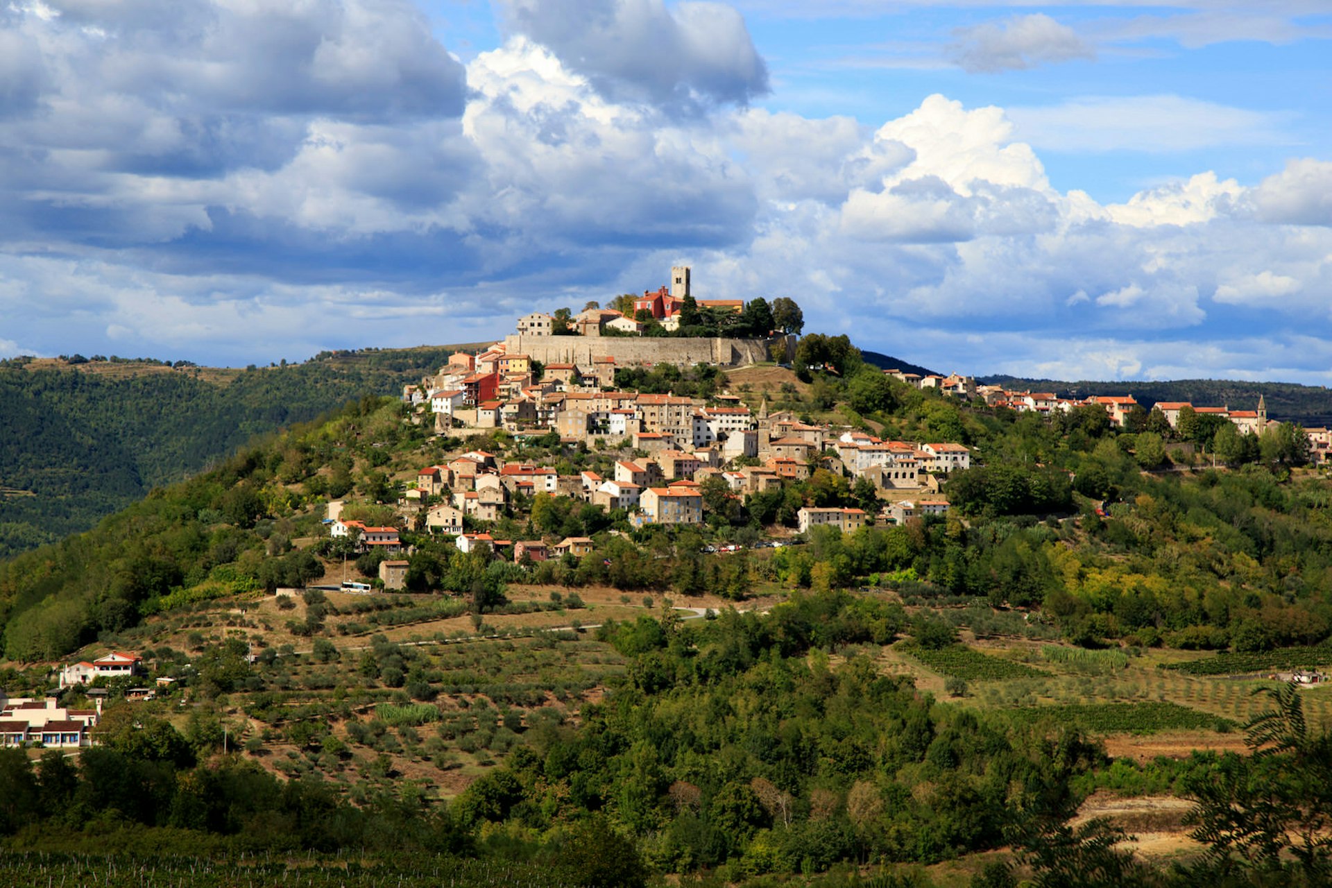 Houses and fortress walls of Motovun perched on a green hill
