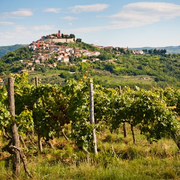 Features - shutterstock_243825853-fde3bc6daf37