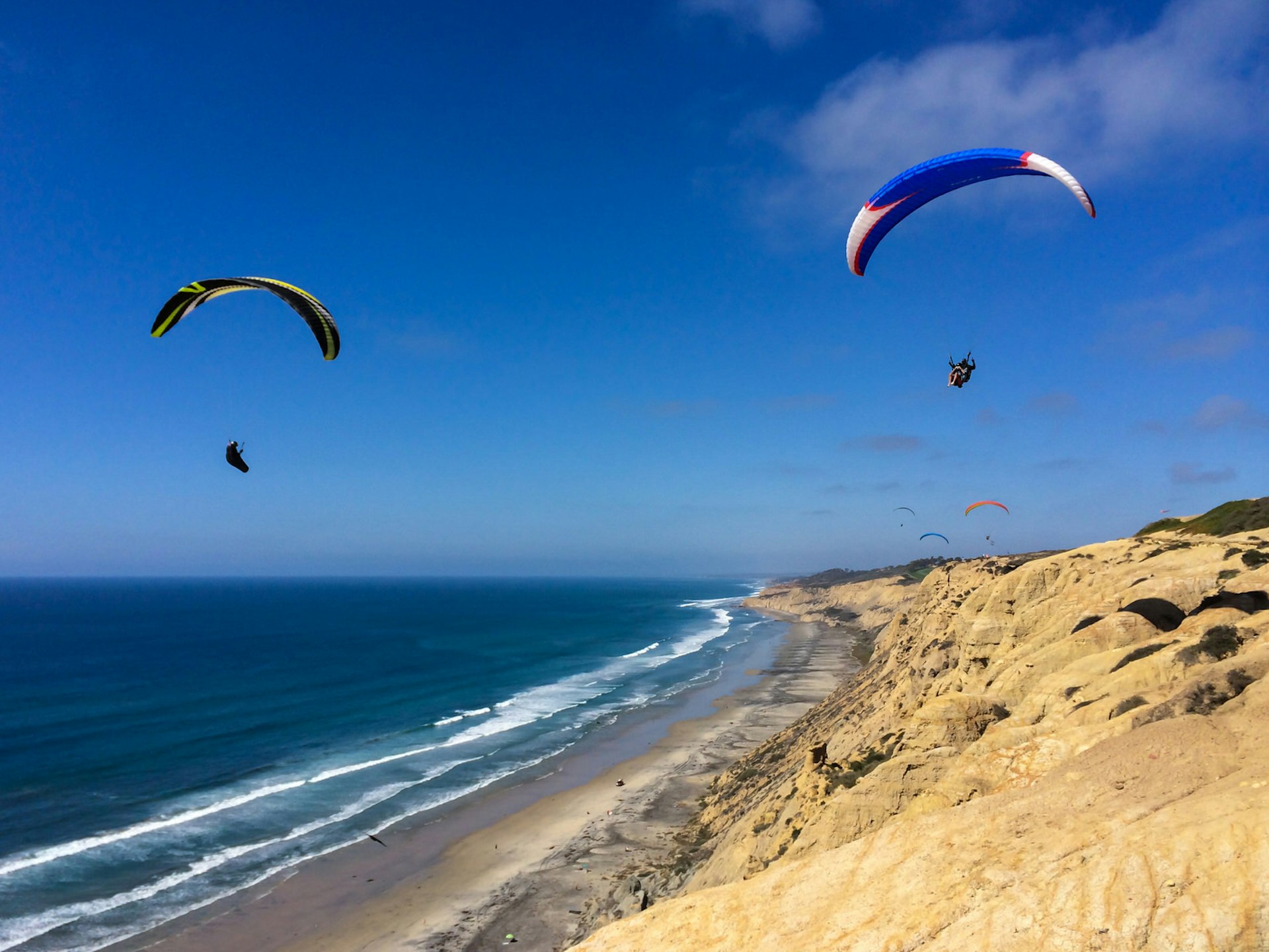 Five paragliders soar in the cobalt blue sky over the seemingly never-ending Black's Beach, part of which is a nude beach; the sands arc gently into the distance, while sets of waves roll in with white tops, and backing the beach are yellowish bulbous cliffs dotted with foliage