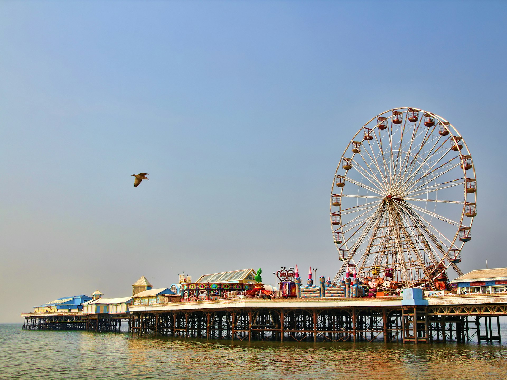 Disney alternatives - Blackpool Pleasure Beach pier. The huge ferris wheel sticks up into a clear blue sky as a seagull flies by. 