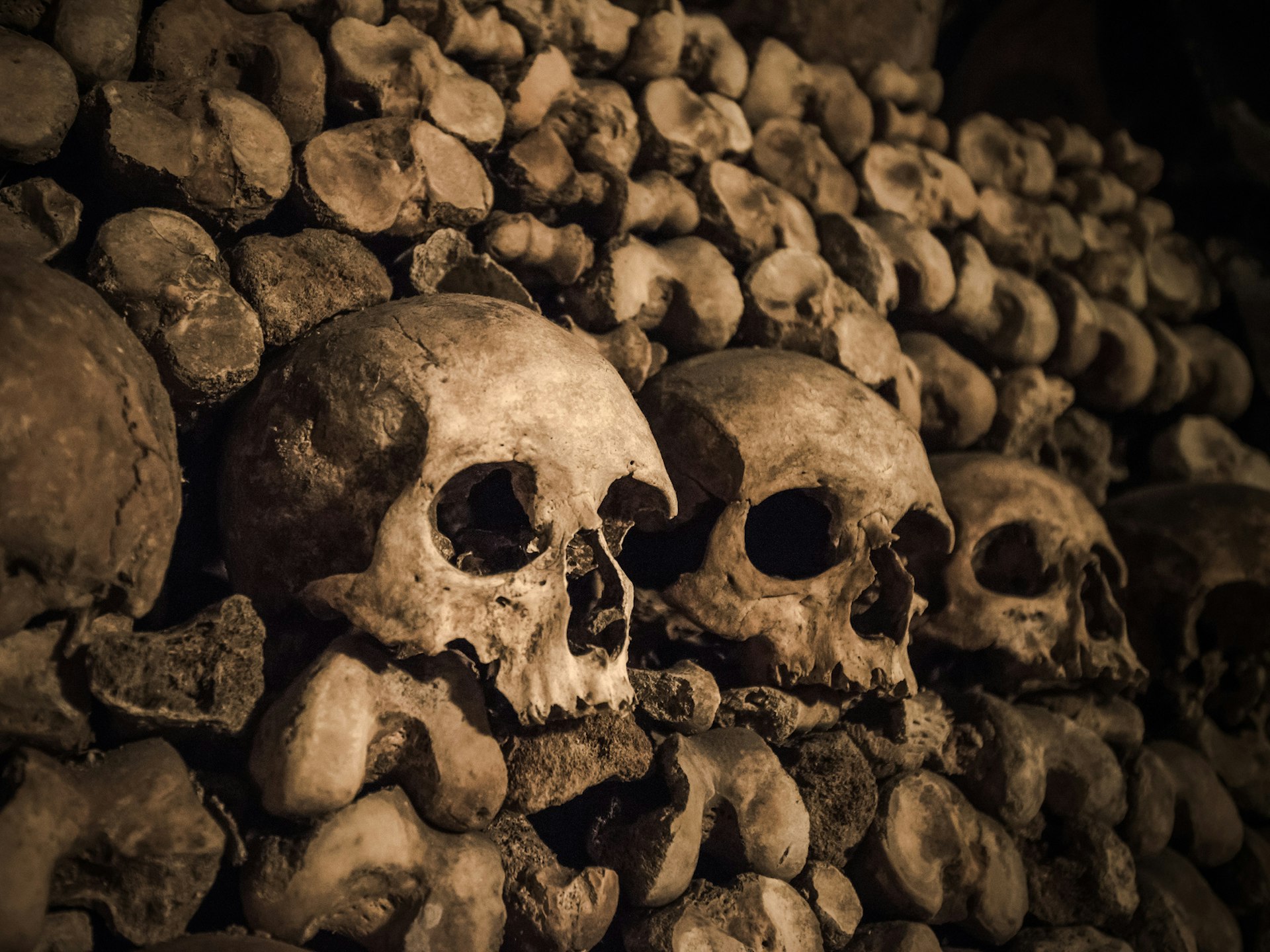 Skulls and bones in the Catacombs beneath Paris