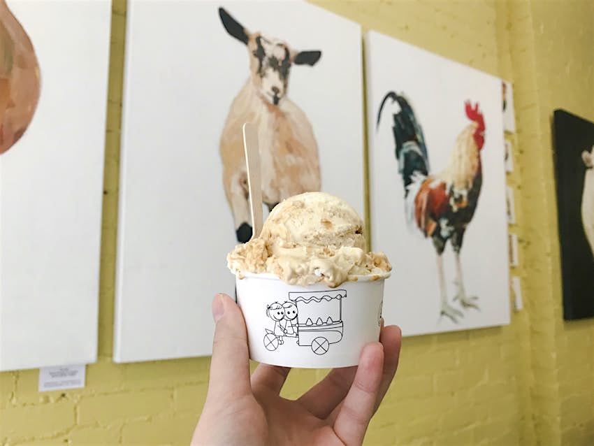 Pictures of a sheep and a rooster on white backgrounds are behind a small tub of ice cream held in a shop