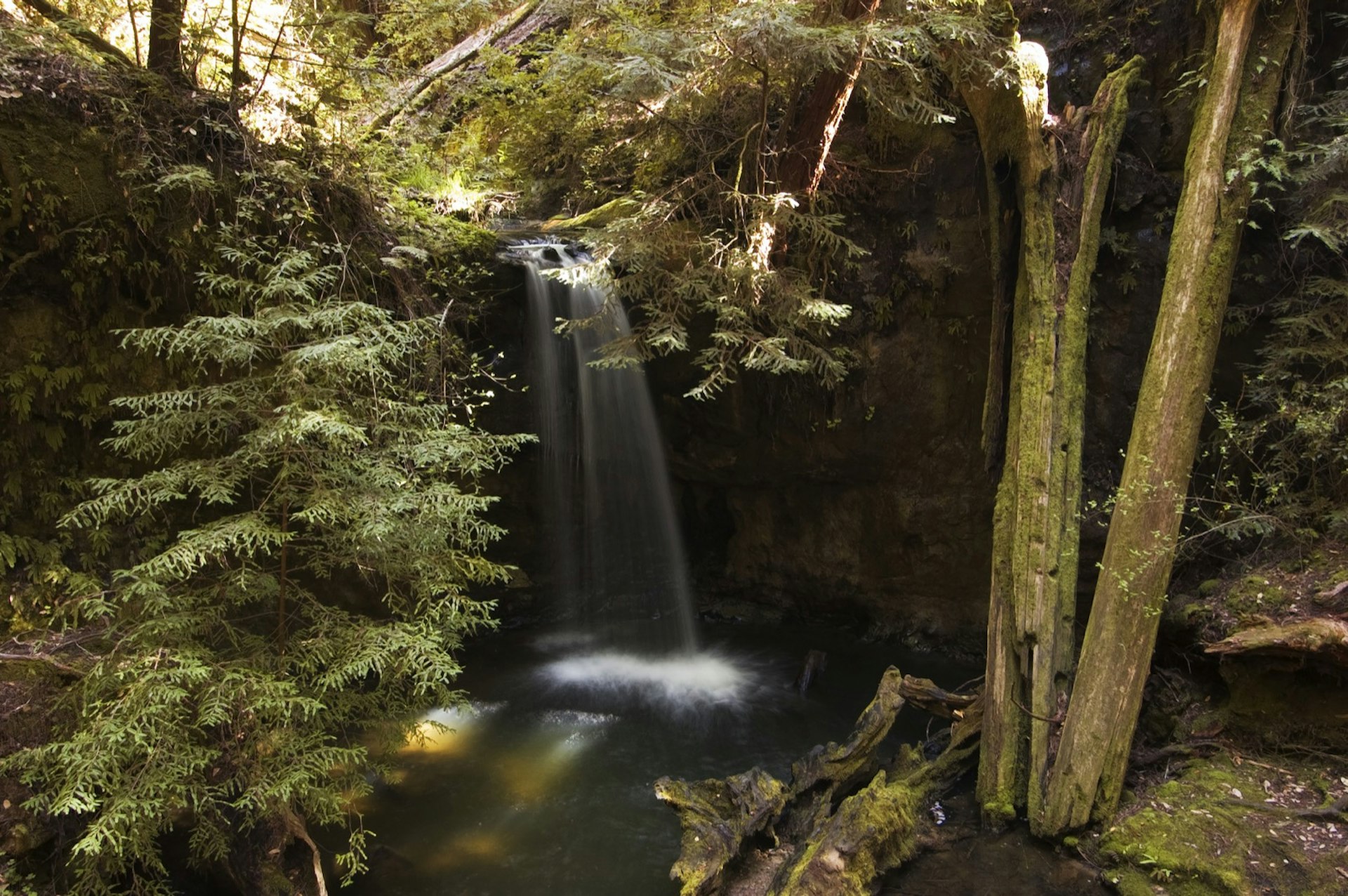 A waterfall cascades into a small pond surrounded by redwood trees another great way to experience California's redwoods
