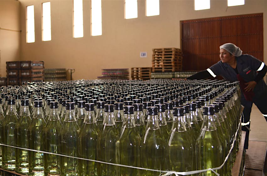 A worker is seen next to bottles of singani, Bolivia's national liquor, at a winery in Tarija, Bolivia
