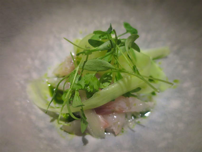 Tallinn food - Seabass tiradito with tiger's milk, coriander oil and micro coriander: a Peruvian-inspired creation at Ore restaurant in Tallinn © Karyn Noble / Lonely Planet