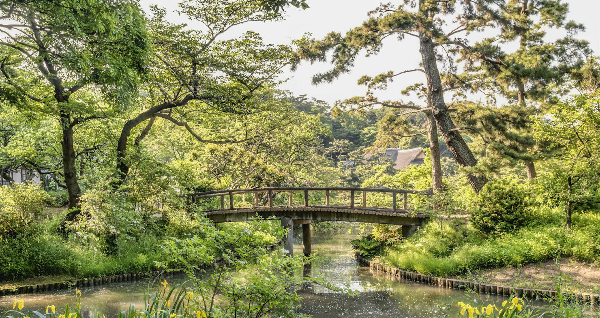YOKOHAMA, KANAGAWA, JAPAN - 2017/05/19: Kankabashi Bridge at Sankeien Garden. Sankeien is a traditional and typical Japanese-style garden designed and landscaped by Sankei Hara, a wealthy businessman in the silk trade. (Photo by Olaf Protze/LightRocket via Getty Images)