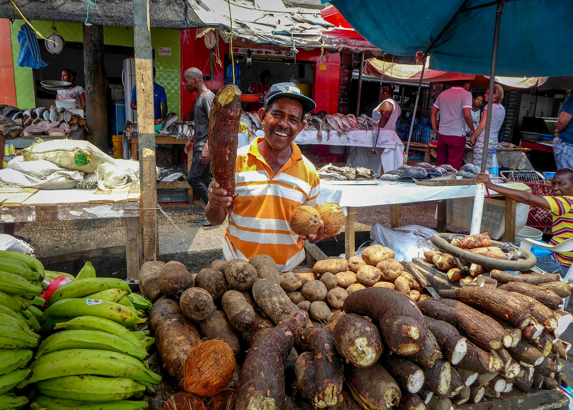 A man stands at a produce stall in a Colombian market lined with plantains, coconuts and yuca. He's holding two coconuts in one hand and a yuca in the other. 