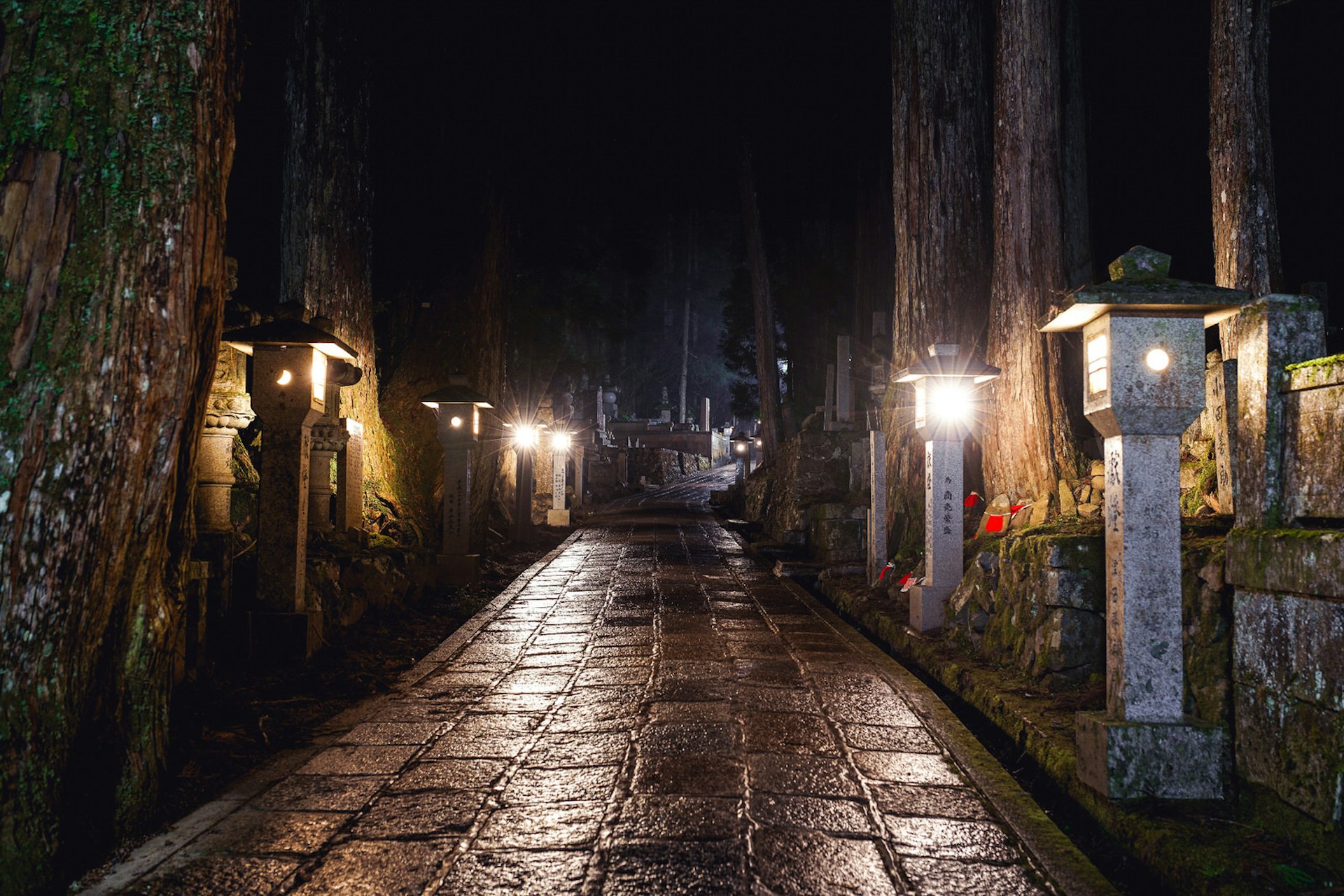 Kōya-san travel - Oku-no-in's lantern-lit pathways seen at night 