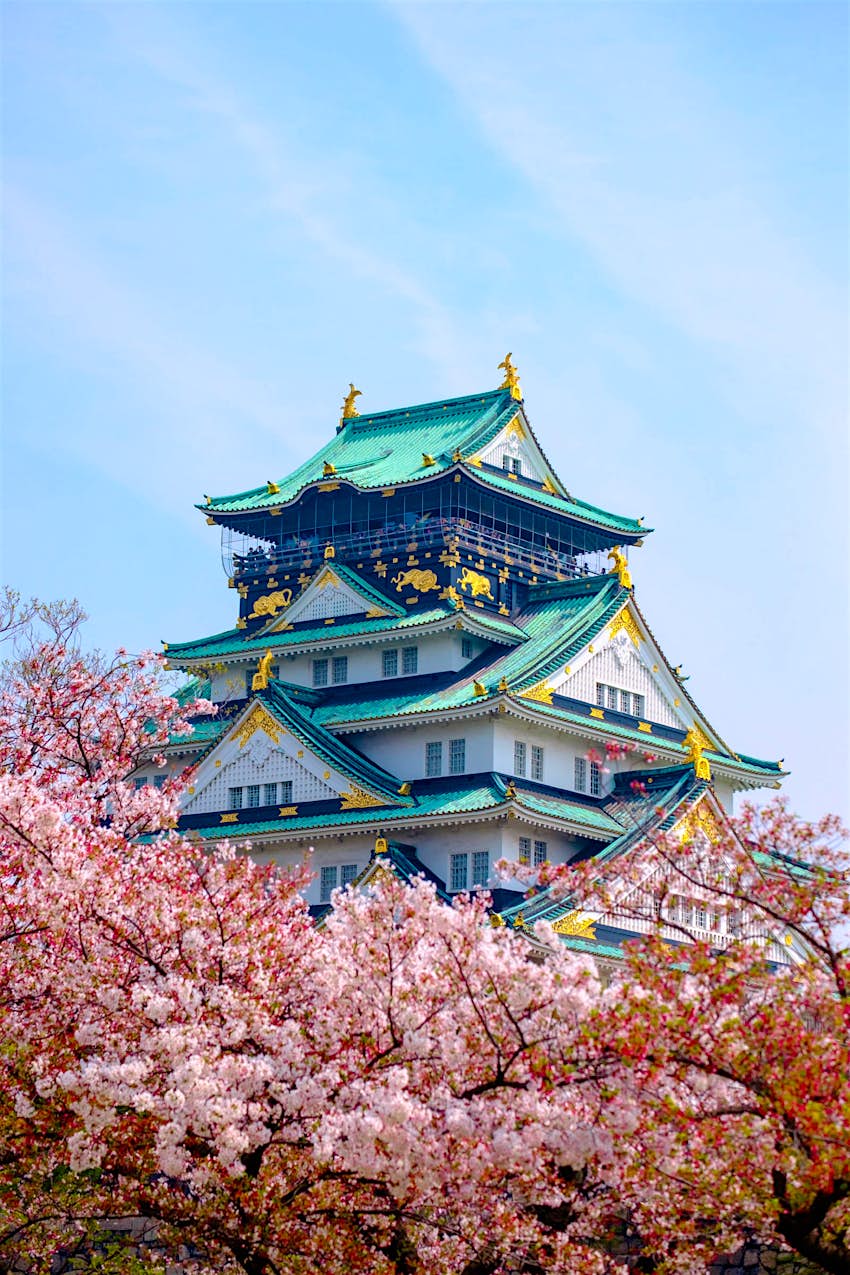 Osaka Castle peaking over blooming cherry blossoms © Shuttertong / Shutterstock