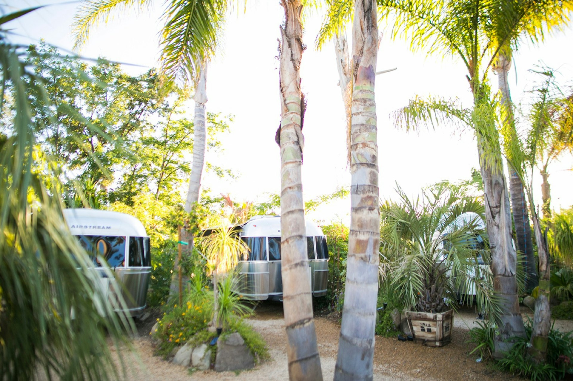 Silver airstream trailers shine in the sun under palm trees