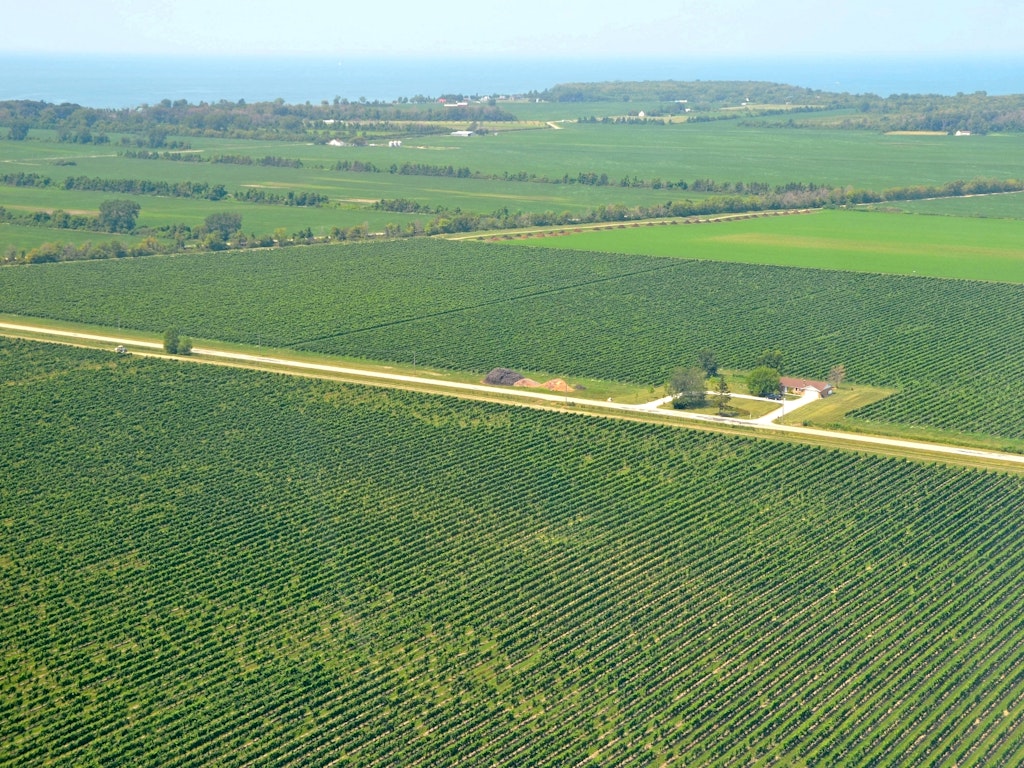 8 unexpected island wineries around the world Lonely Lonely