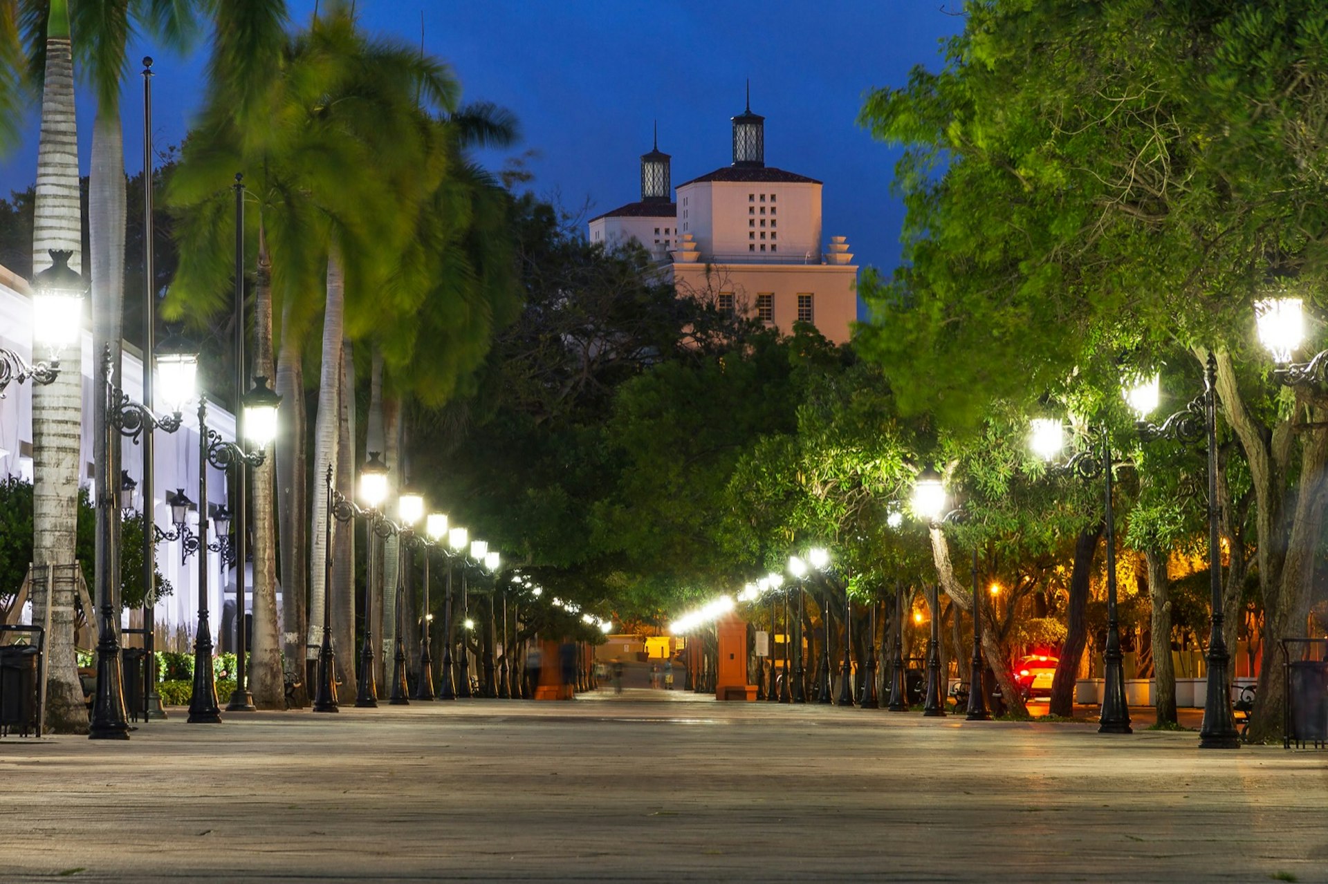 Decorative cast iron street lamps - set beneath lines of trees - flank both sides of a cobbled street of Paseo de la Princesa in the old city; San Juan nightlife spills onto these streets come dark